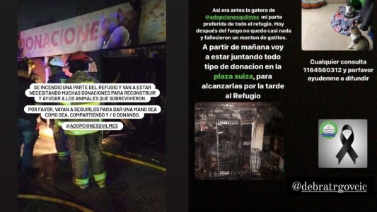 Se incendió un refugio de animales en Quilmes: murieron gran cantidad de gatitos y piden donaciones