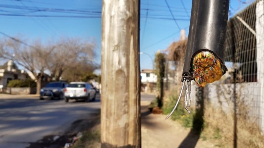 Roban más 50 metros de cables de teléfono en Argüello