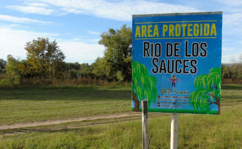 Nena de 3 años murió al ser embestida por un auto