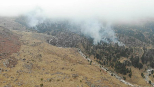Combaten incendio en zona forestal de Intyllaco