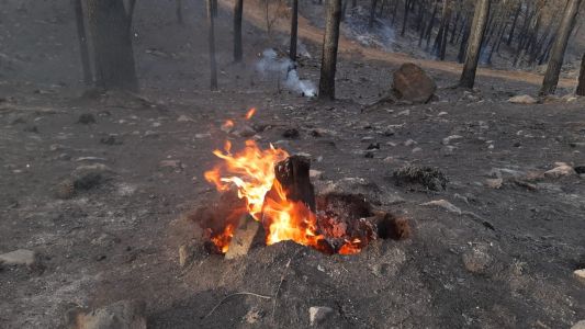 El fuego está contenido en un 90%