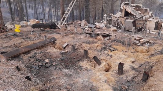 El incendio se llevó la icónica casa del nido