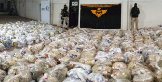 Incineran drogas valuadas en más de 350 millones de pesos