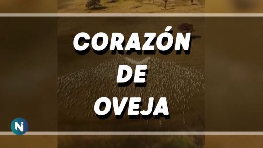 Flash 26-08-21 #TFNCordoba con @rickyvazquez10