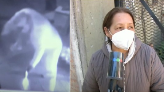 La asaltaron y mataron a su perra: entre lágrimas, reclamó: "A los políticos, hagan algo"
