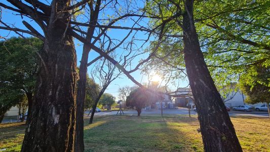 Soleado con importante amplitud térmica