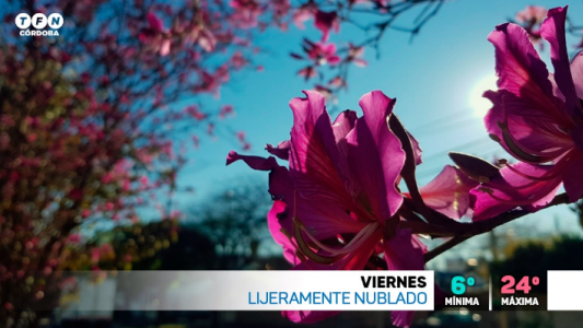 Mañana fría, viento moderado, máxima de 24°