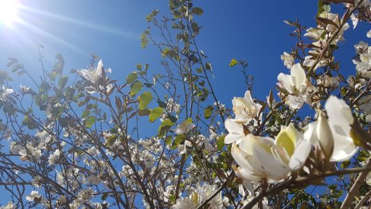 Sábado ventoso; domingo cálido