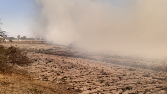 Sequía histórica y tormentas de tierra analizadas por un biólogo