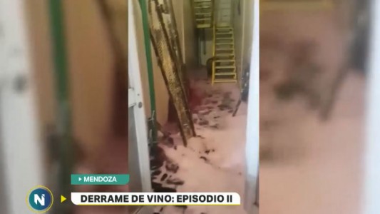 Miles de litros de vino inundaron una planta envasadora en Mendoza