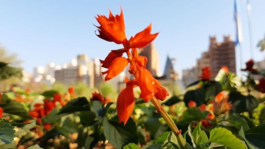 Conocé cómo seguirá el tiempo en Córdoba en la primera semana de la primavera