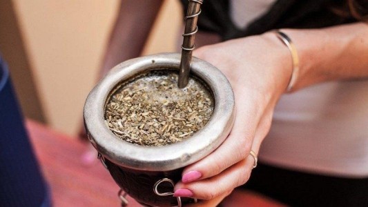 Estudios científicos confirmaron que tomar mate disminuye riesgo de contraer Parkinson