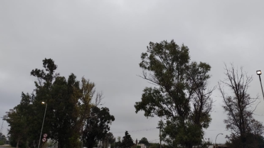 Cálido, húmedo, probable llovizna, máxima de 26°