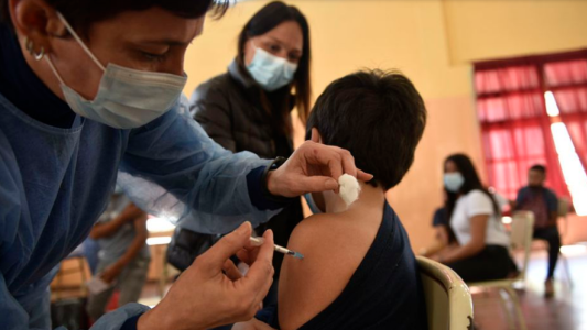 Vacunación de niños entre 3 y 11 años, analizan como proceder con esta población