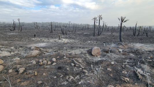 Más muerte y destrucción por el fuego en el norte