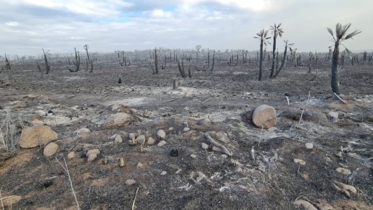 Incendios en el norte, aseguran que todos los focos están controlados