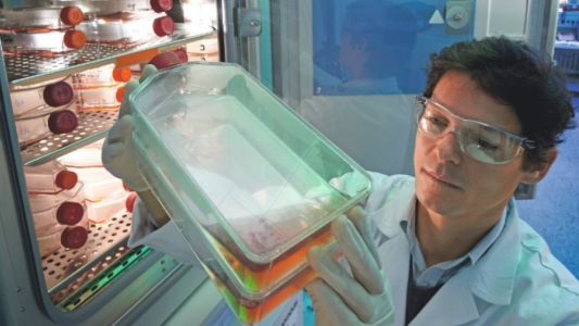 El cáncer podría ser la primera causa de muerte a nivel mundial para el 2040