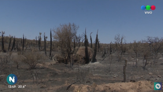 No hay focos activos en el norte cordobés