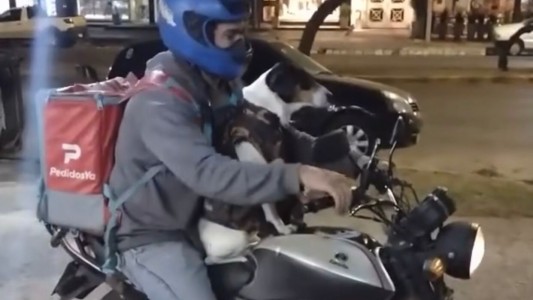 Solo en Córdoba: un delivery de cuatro patas