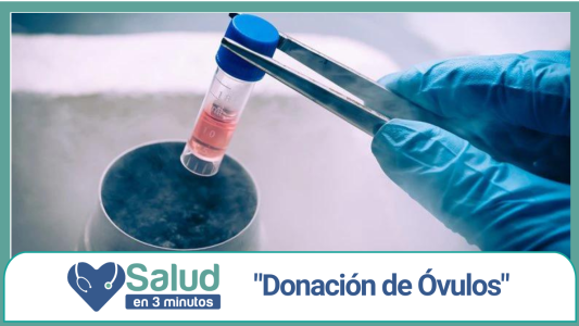 Ovodonación: una técnica cada vez más requerida