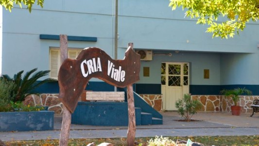 Abuso de un niño por grupo de menores: amenazaron a testigo “clave”