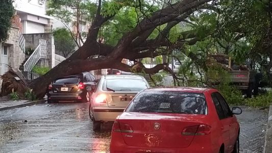 Cómo sigue el clima después del diluvio