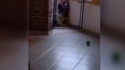 Horror en una guardería de Moreno: encerraban a un nene en la cocina para que "no contagie el llanto"