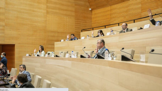 Legislatura desestimó homenaje a creador de “La Pantera Rosa”