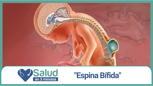 Espina Bífida: uno de los defectos congénitos más comunes en los bebés