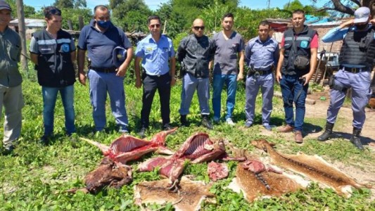 Robaron ciervos de un complejo ecológico de Chaco y los mataron a palazos para hacer un asado