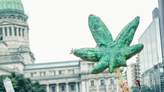 Organizaciones cannábicas realizan hoy la 12va. edición de la Marcha Nacional de la Marihuana