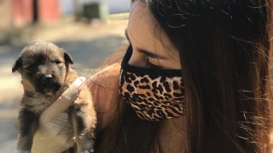 Un donante misterioso salvó una fundación de mascotas que estaba por cerrar