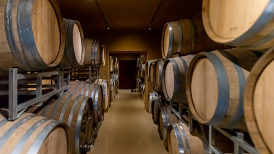 La ruta cordobesa del vino, otro atractivo para el verano