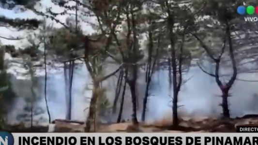 Incendio en el bosque de Pinamar: trabajaron 25 dotaciones de bomberos