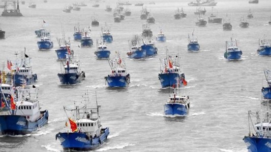 Pesca ilegal: la Armada y Prefectura Naval vigilan a 300 pesqueros chinos que ingresan al Atlántico Sur