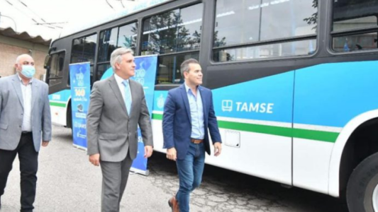 Tamse tendrá 50 unidades nuevas en su flota para reforzar el transporte público
