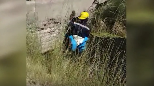 Bomberos salvaron a un perro que estaba a punto de ahogarse
