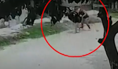 El ladrón que acosa a un barrio entero