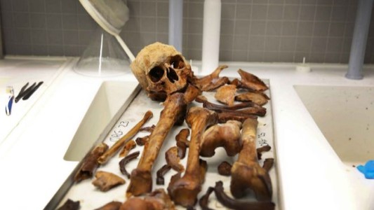 Crean biblioteca de huesos humanos que ayuda a resolver casos forenses