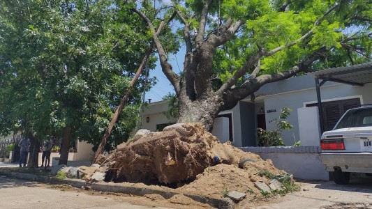 Un temporal provocó destrozos en barrio Ituzaingó