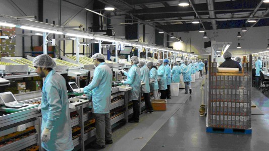 El ausentismo por el Covid-19 condiciona la actividad industrial