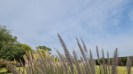 Buen tiempo, tarde cálida, máxima 33°