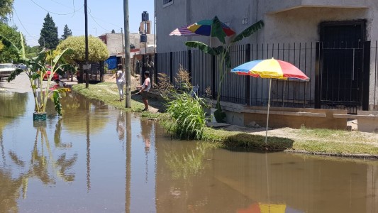 Festival del Dengue en Córdoba Capital