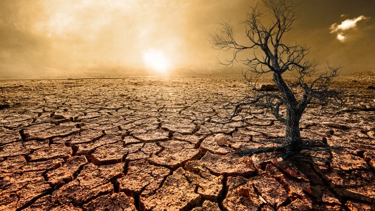 La sequía 2021/22 ya les cuesta a los productores agropecuarios US$ 2.930 millones