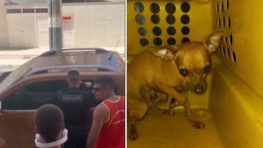 Detuvieron a un argentino en Camboribú por dejar a su perro encerrado cuatro horas en la camioneta