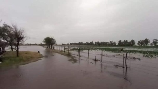 Más imágenes del temporal en Jovita: 250 milímetros de lluvia y graves inundaciones