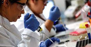 Estudian la transmisibilidad de una nueva versión de la variante Ómicron de coronavirus