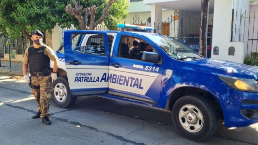 Convivia con 40 perros: Temía a ser devorada