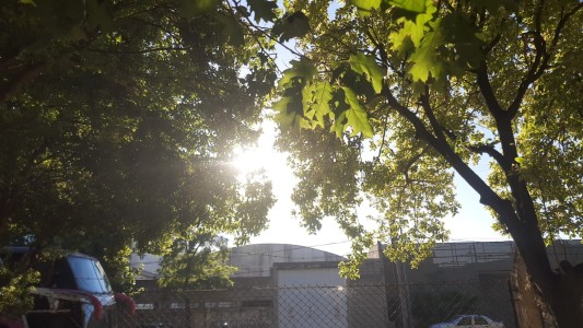 Lunes caluroso en Córdoba: máxima de 29 grados