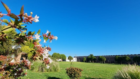 Martes con ascenso de temperatura